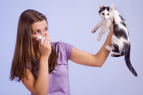What To Do If Your Allergic To Your Cat