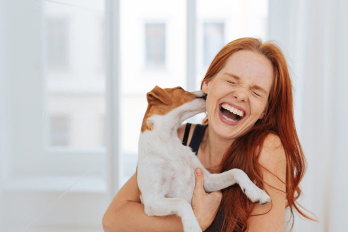 10 methods your canine says “I like you”