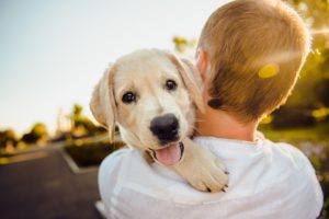 Chip Your Pet Month | Pet Microchipping Guide