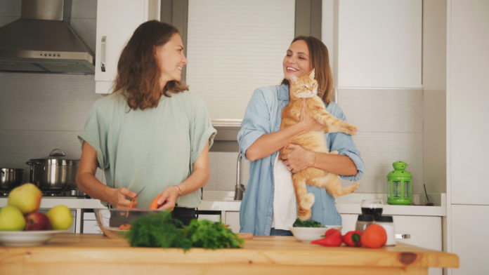 Home-preparing pet meals – what it is advisable know