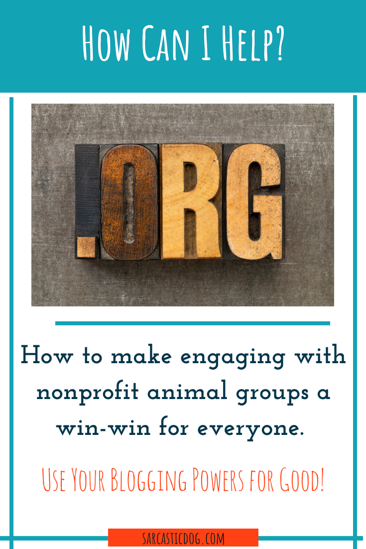 How Can I Help? | Bloggers & Nonprofit Animal Groups
