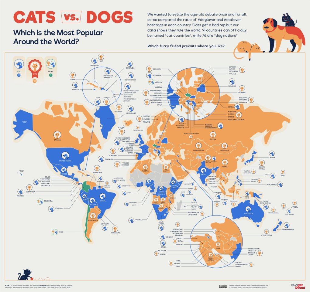 New Survey Settles Dog vs. Cat Debate Once and for All!