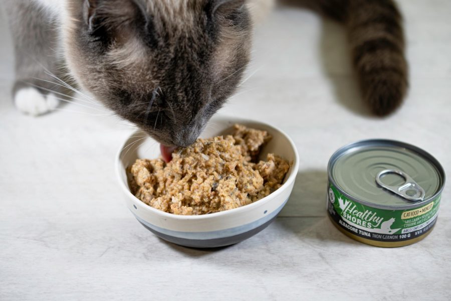 The advantages of seafood for cats: why high quality issues