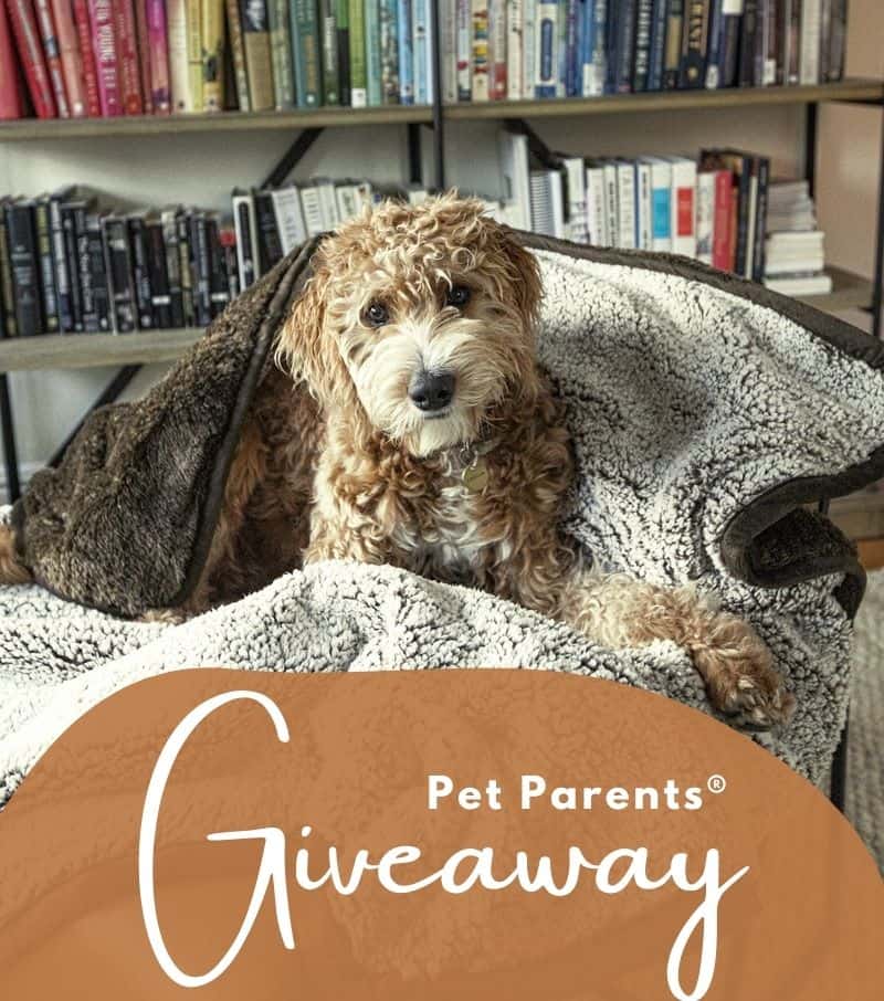 Win a Pet Parents® Pawtect™ Blanket!