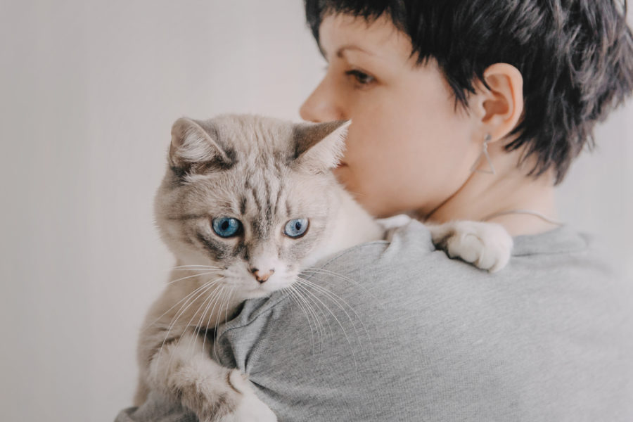 7 easy ways to calm your cat down