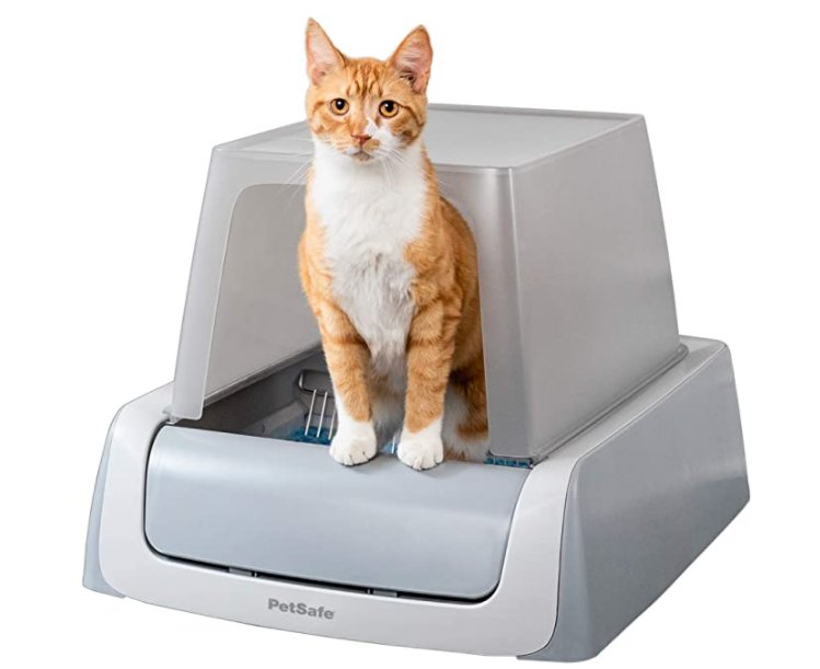 Cat Gadgets: Gizmos That Are Totally the Cat’s Meow