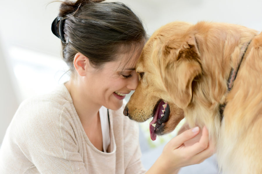 How Canine Biologics’ nutrition system supports dogs with cancer 