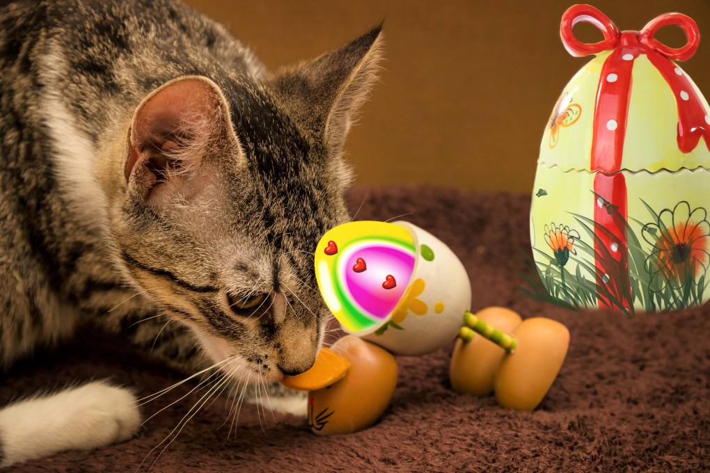 Leading Vet Charity Issues ‘Care, Don’t Share’ Advice Ahead of Easter Celebrations