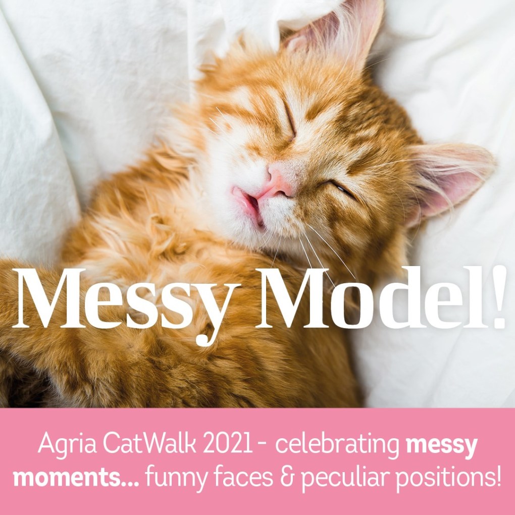 Agria CatWalk Competition: Messy Models