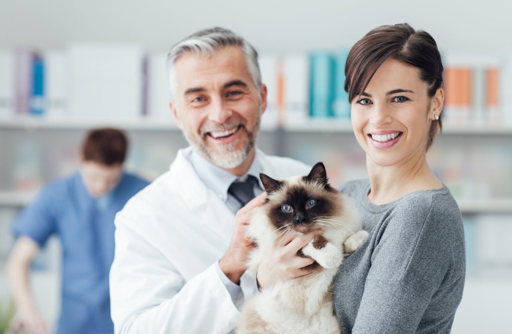 How To Prepare For Your Cat’s Routine Examination