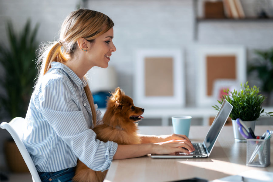 Tips for taking your dog to work – at home!
