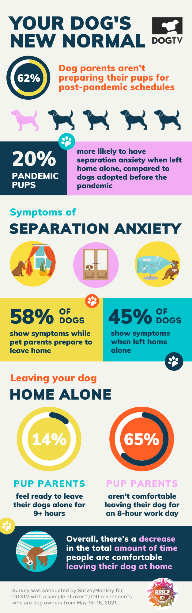 Worried About Separation Anxiety When You Return to Work?