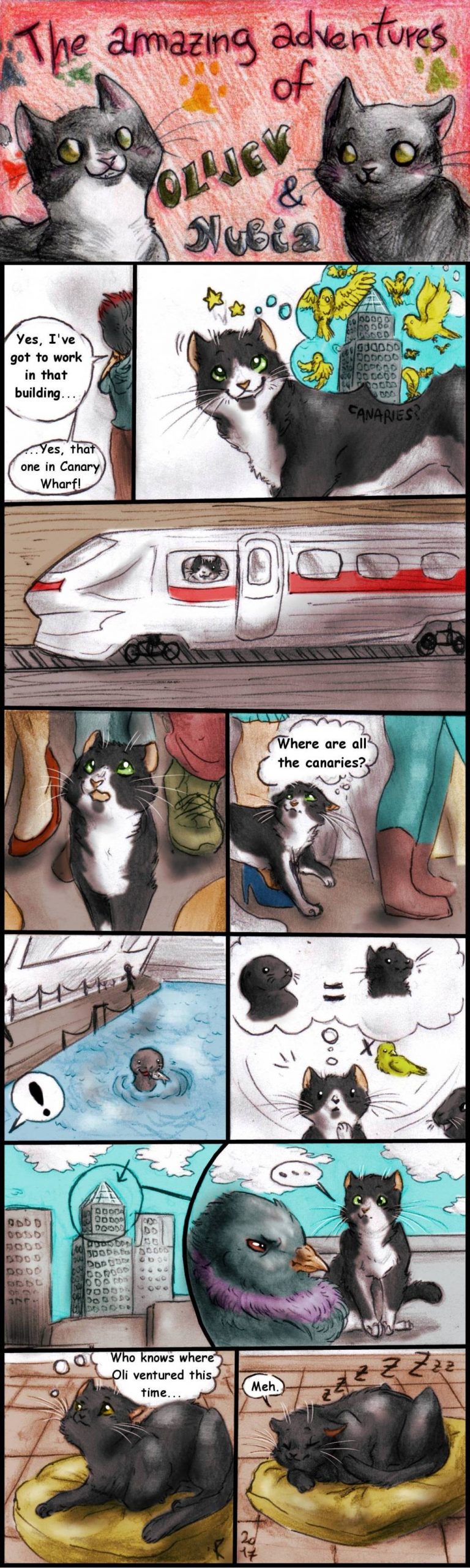 Blast From the Past: The Cats Trip to the City of Birds