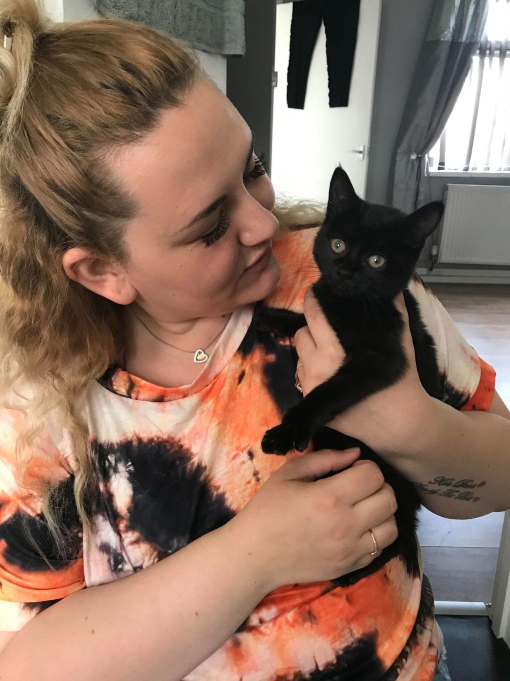 Kitten Found Inside a Backpack in Hull is Reunited With Her Owner