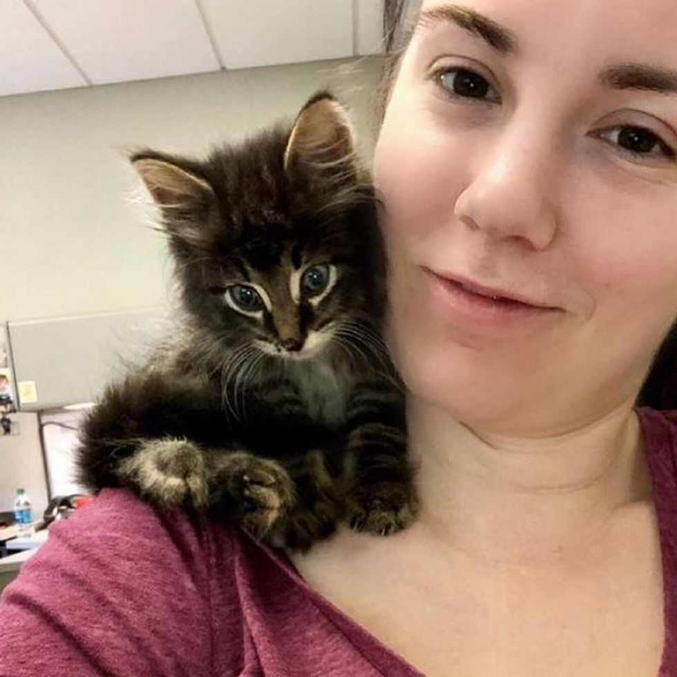 Kitten Wandered Out of a Ditch and Found His Way into the Heart of Woman
