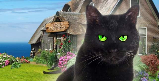 Ghost Cat of Ocean Cove, a new Cat Cozy Mystery