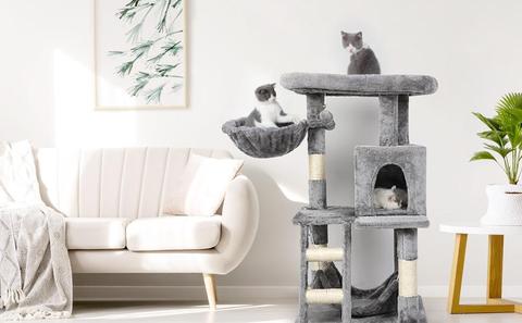 5 Reasons Why Does My Cat Need a Cat Tree