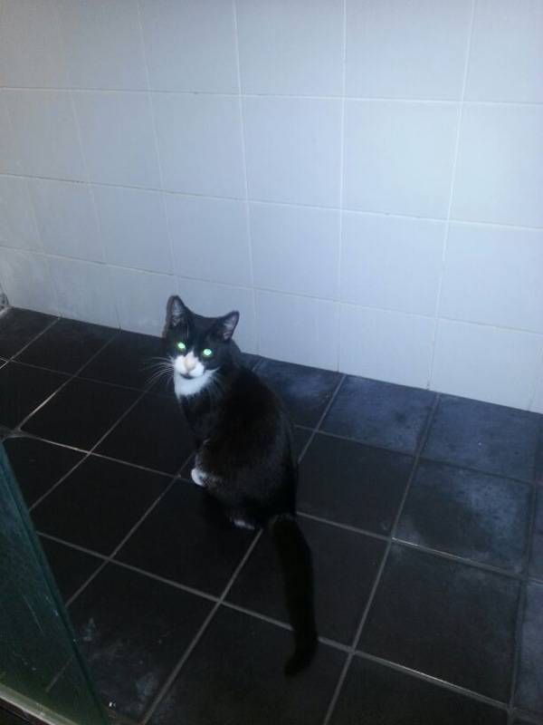 Oliver: Shower Caught in the act!