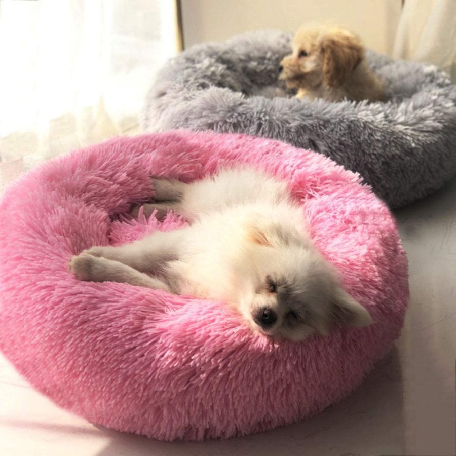 Win a Plush Pet Bed for Your Dog!