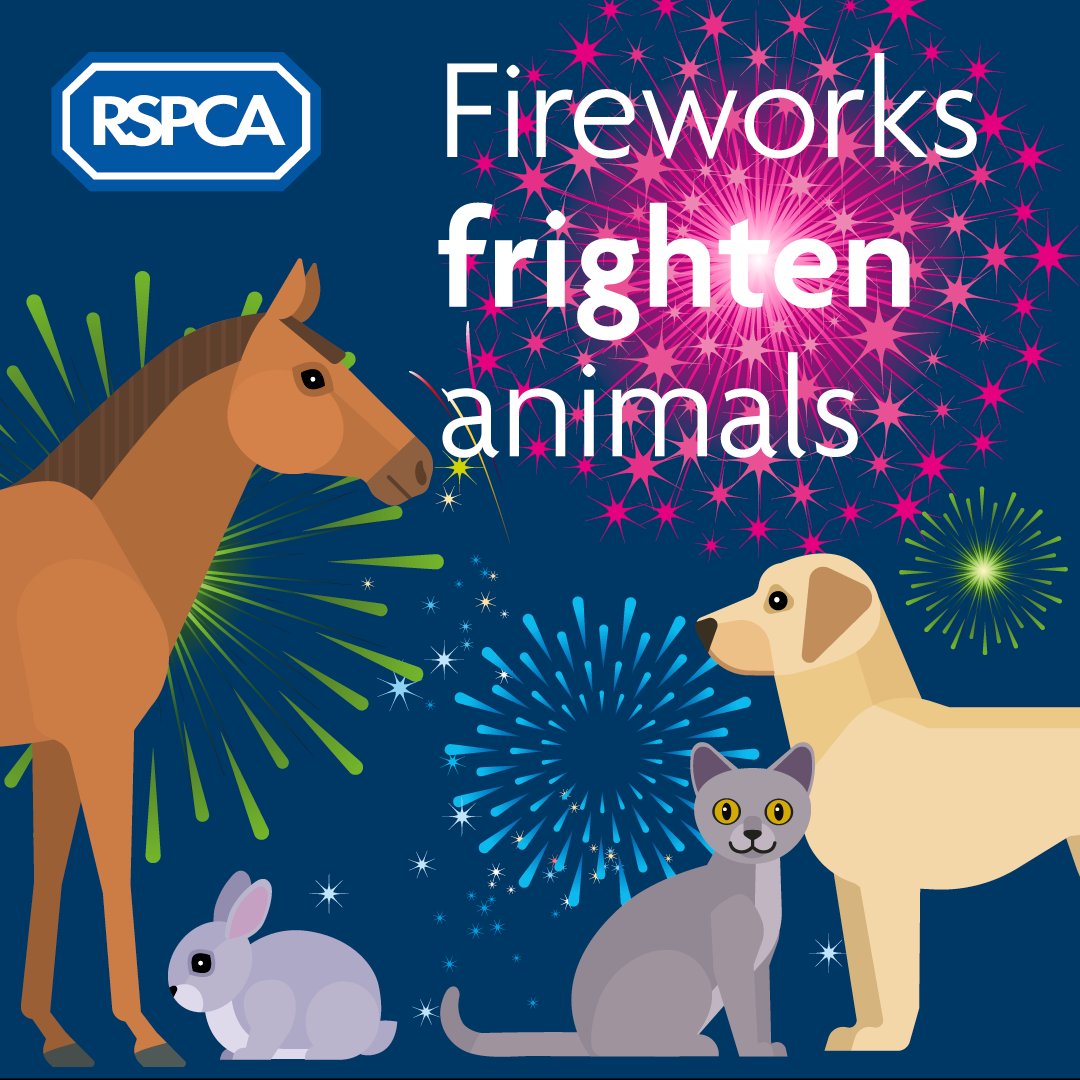 Bonfire Night Countdown: One Month to Prepare Your Pets for Fireworks Fright Night