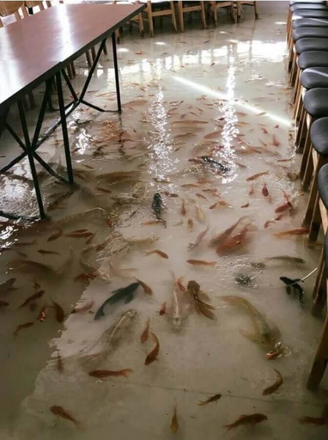 Do Not Let Fishermen Into This Restaurant…