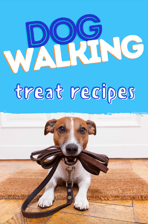 Fetch Our New, Free Dog Walking Treat Download!