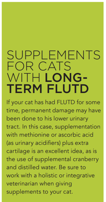 How a raw diet can prevent FLUTD in your cat