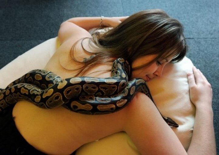 Is It Safe for Me to Sleep with My Pet Python in the Same Bed?