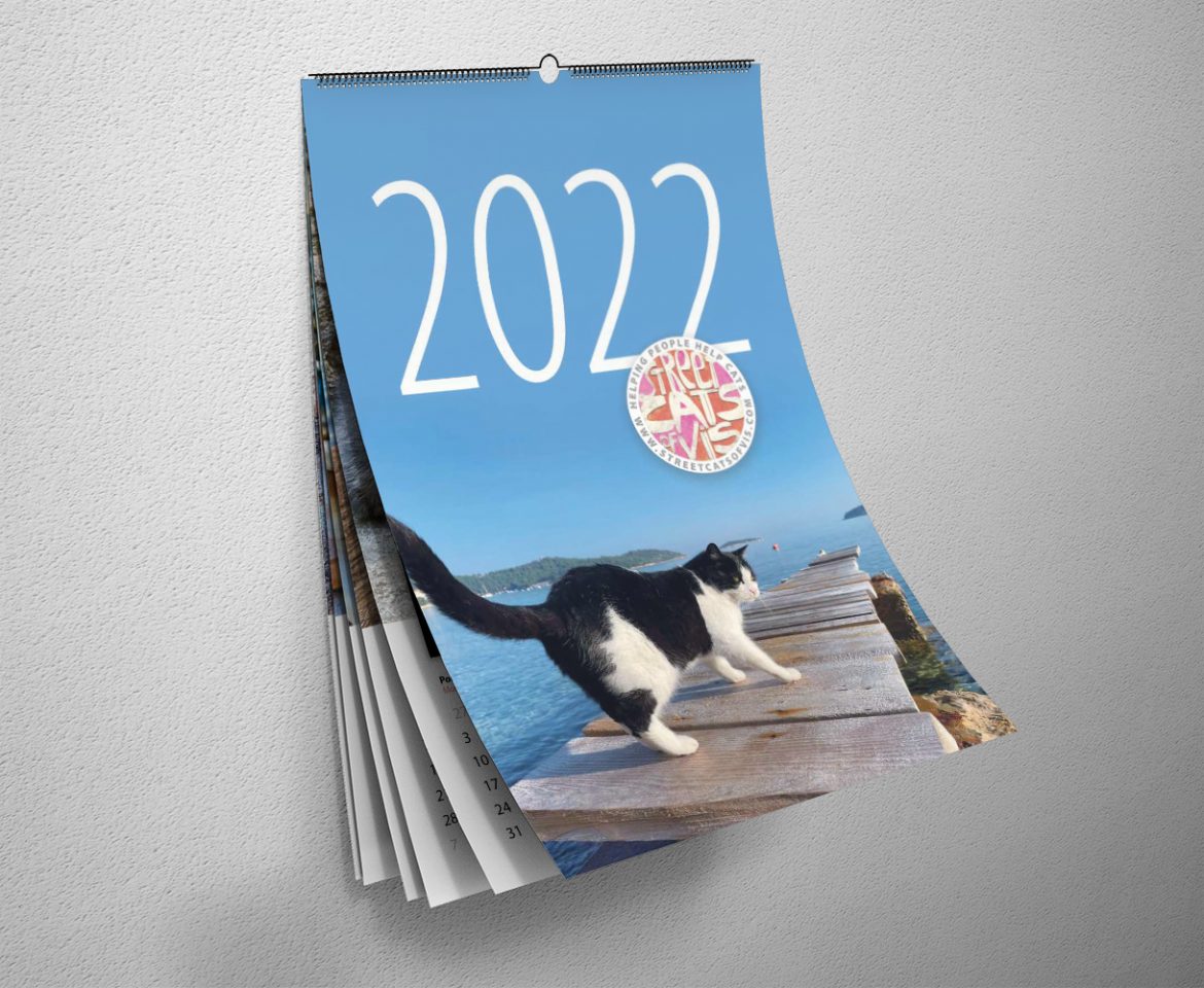 Street Cats of Vis 2022 Calendar Fundraiser