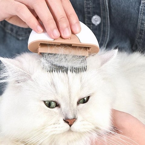 5 Cat Brushes For An Effective Grooming Of Your Furry Friend