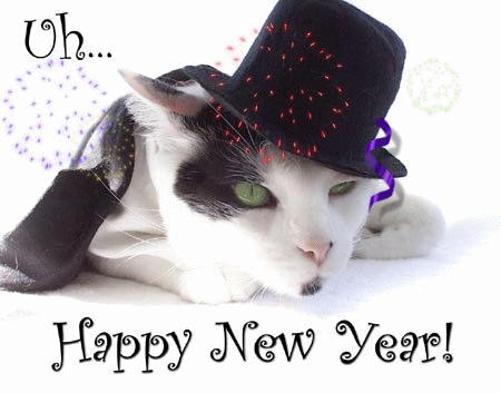 Happy New Year From Katzenworld