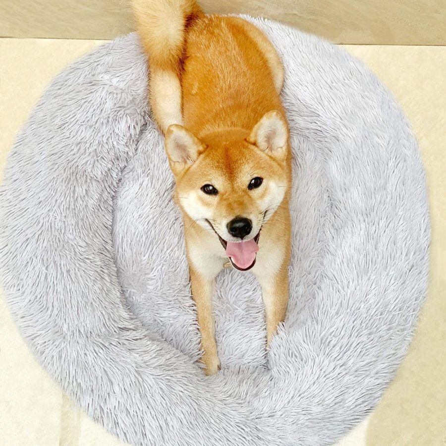 Win a Donut Dog Bed! #Giveaway