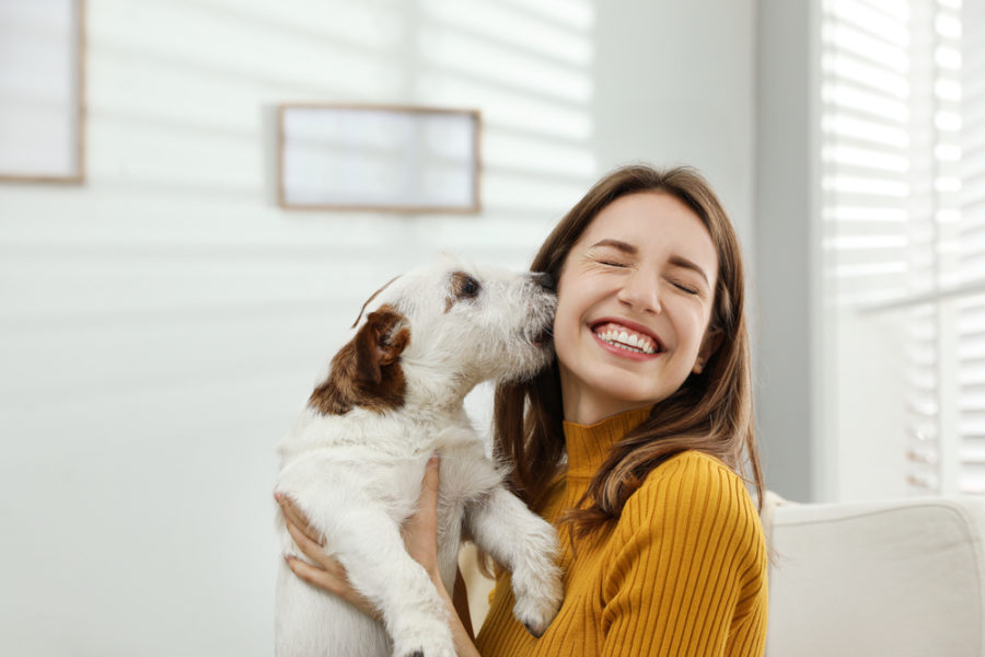 Mental health benefits of adopting a pet while living alone