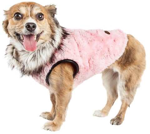 The Perfect Guide To Winter Dog Clothing 2022