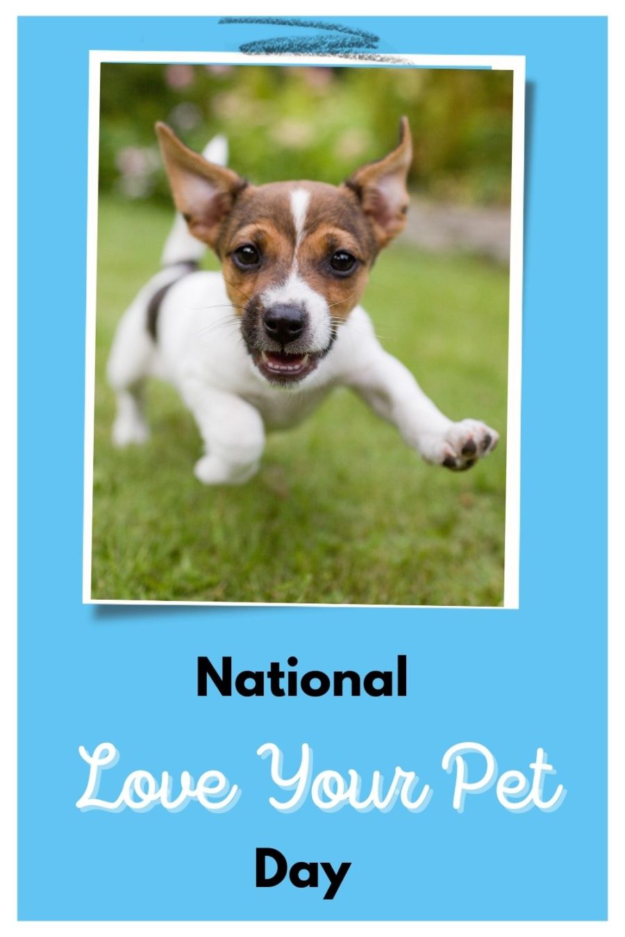 10 Ways to Love Your Dog on National Love Your Pet Day!