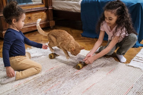 5 Interactive Toys To Keep Your Kitty Entertained For Hours
