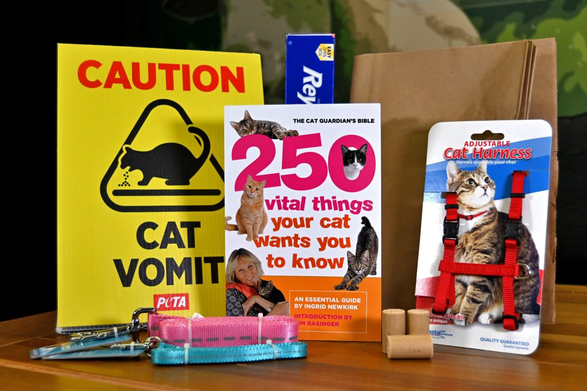 ‘Caution: Cat Vomit’ Signs and Wine Corks: Willow Biden’s ‘Out of the Box’ Gifts From PETA