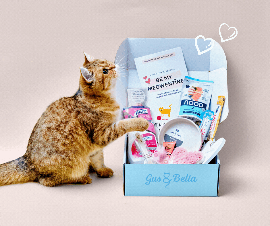 Giveaway – WIN 1 of 5 FABULOUS KITTY PRIZES