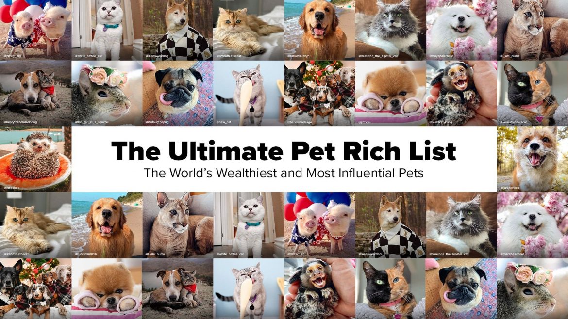 The World’s Wealthiest and Most Influential Pets