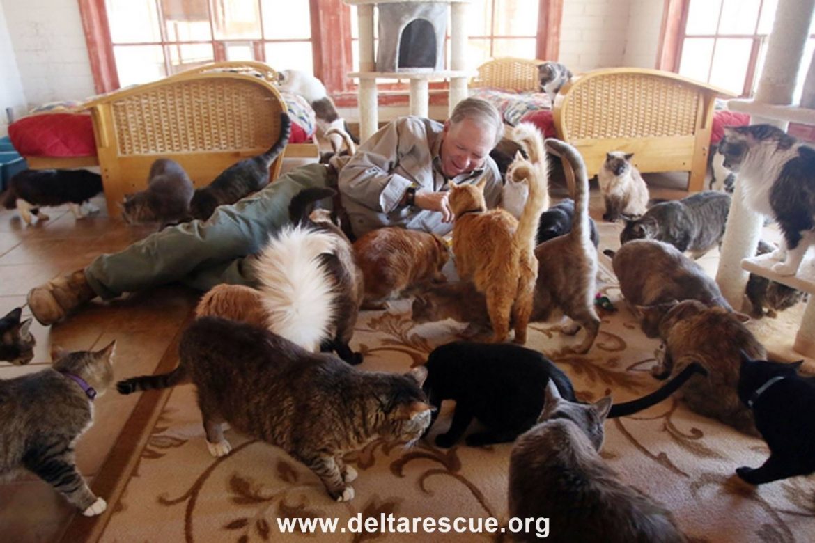 Charity Mews: D.E.L.T.A – Dedication & Everlasting Love to Animals