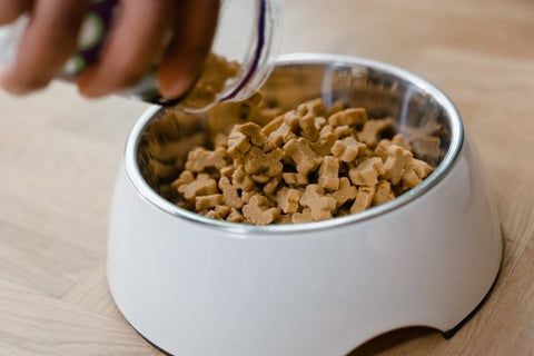 Healthy Dog Treats: How and When To Give Them