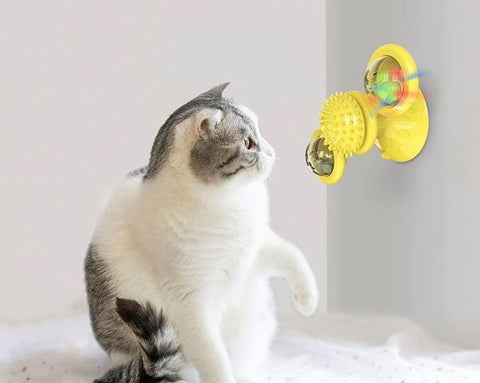 Here Are The Top 5 Interactive Cat Toys For Your Indoor Feline