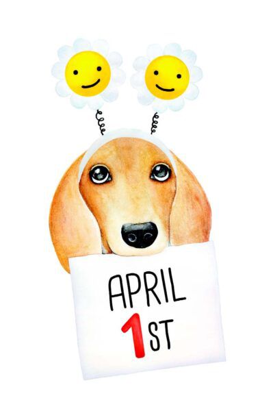If Dogs Celebrated April Fool’s Day