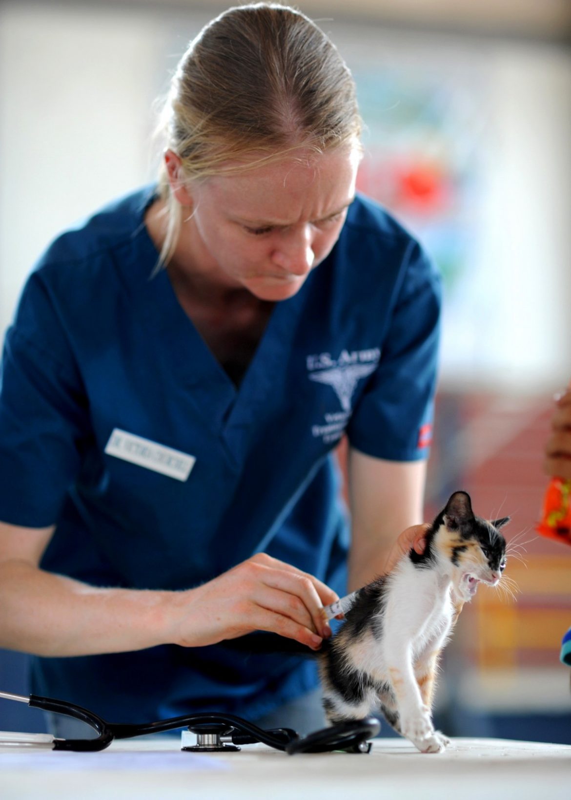 Professional Community Platform Launches With Mission to Make the Veterinary Profession a Better Place to Work