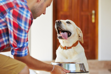 An Overview of Plant-Based Dog Food