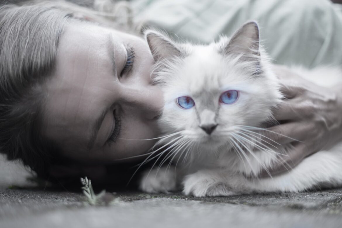 Looking After Your Pet’s Mental Health