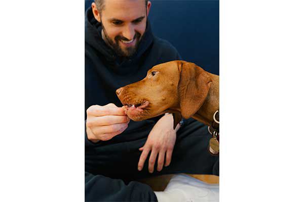 NBA Champion Kevin Love and His Dog, Vestry, Celebrate Milk-Bone’s New Treat Flavor