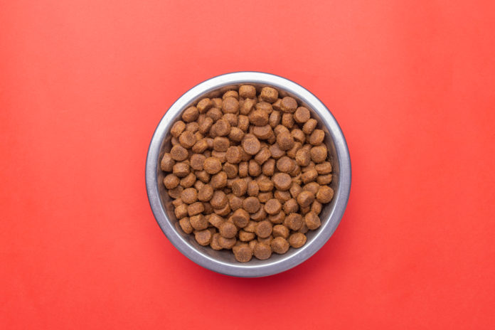 Pet food homework: 3 steps to a better bowl