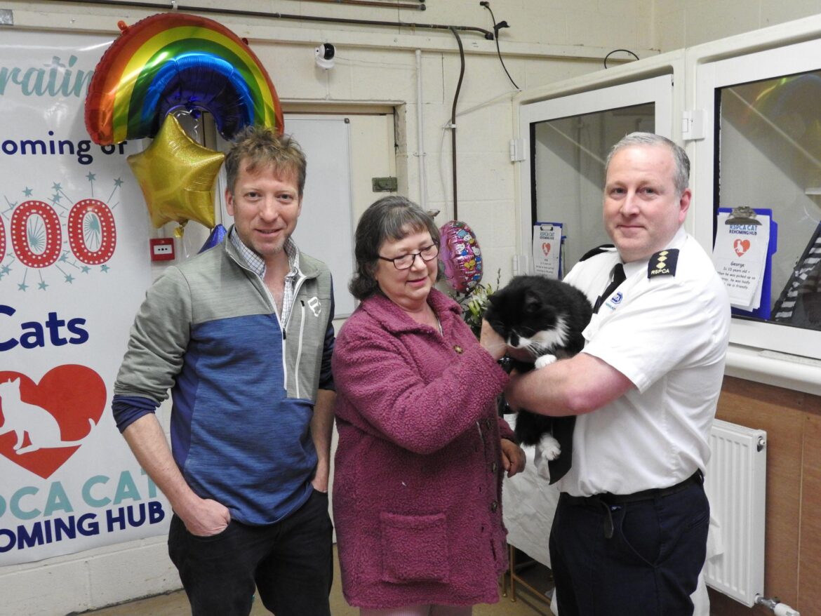 RSPCA Cat Hub Marks Fourth Anniversary and Rehomes Its 1,000th Cat