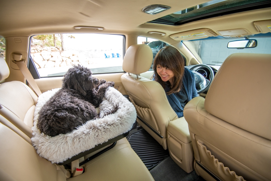 Soothing your pet’s car travel anxiety